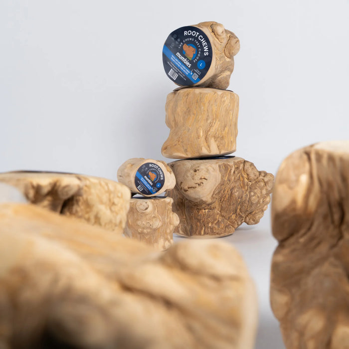 Coffee Wood Root Dog Chew, photo 26