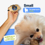 Coffee Wood Root Dog Chew, photo 3