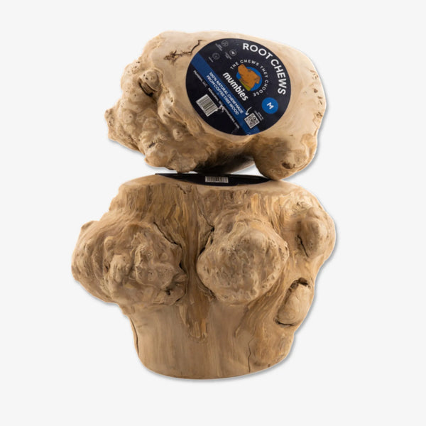 Coffee Wood Root Dog Chew, photo 1