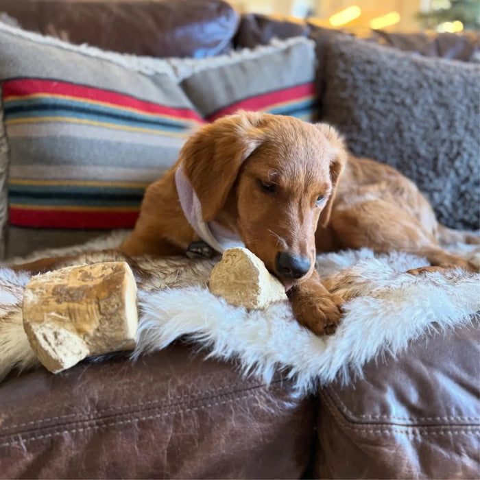 Coffee Wood Root Dog Chew, photo 5