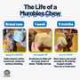 Coffee Wood Root Dog Chew, photo 6