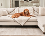 PupProtector Summer Short Fur Waterproof Throw Blanket, Polar White, photo 8