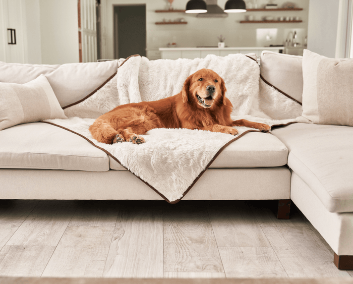 PupProtector Summer Short Fur Waterproof Throw Blanket, Polar White, photo 8