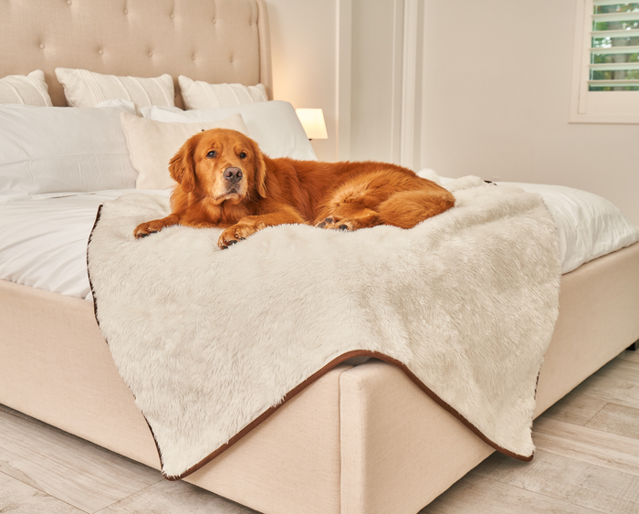 PupProtector Summer Short Fur Waterproof Throw Blanket, Polar White, photo 11