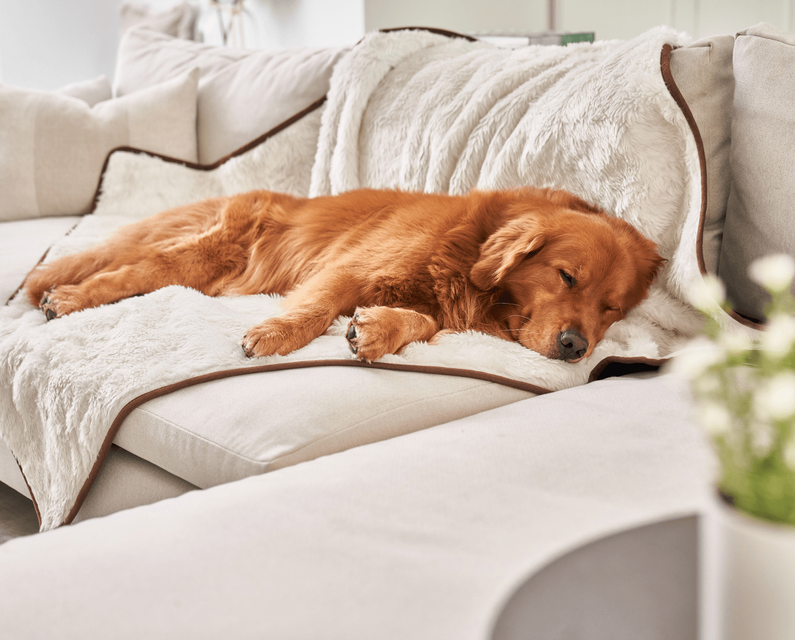 PupProtector Summer Short Fur Waterproof Throw Blanket, Polar White, photo 2