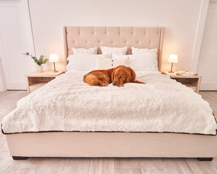 PupProtector Summer Short Fur Waterproof Throw Blanket, Polar White, photo 12