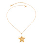 Gold tone pendant necklace, 18K gold plated, on a fine cable chain with a puffed sculpted star pendant in a high-polish finish, lobster clasp and extender visible, no stones visible.