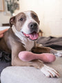 Juguete Woolbone para perro Classic, foto 9