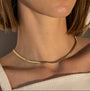 Collar de cadena de serpiente, foto 2
