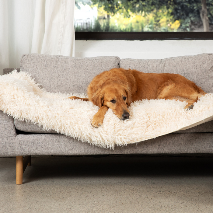 PupProtector Luxe Waterproof Bed Runner, Plush Sheep Ivory, photo 6