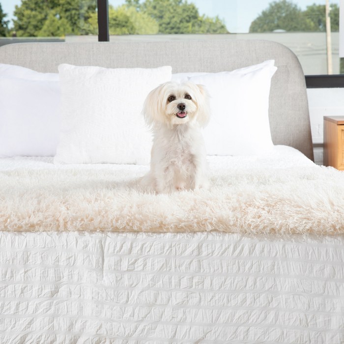 PupProtector Luxe Waterproof Bed Runner, Plush Sheep Ivory, photo 5