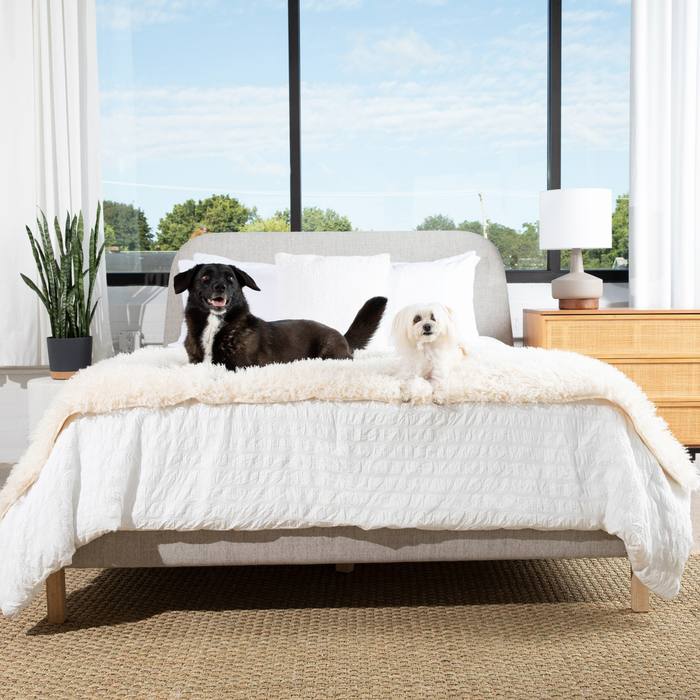 PupProtector Luxe Waterproof Bed Runner, Plush Sheep Ivory, photo 2