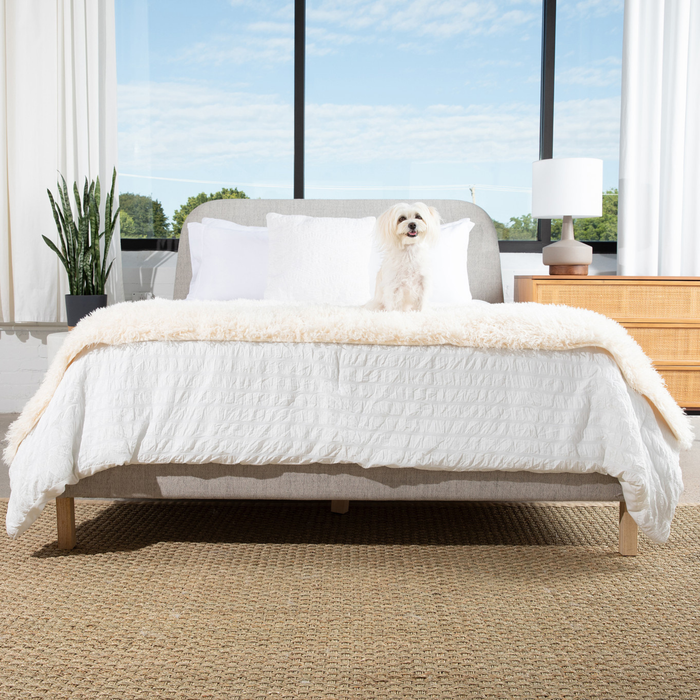 PupProtector Luxe Waterproof Bed Runner, Plush Sheep Ivory, photo 8