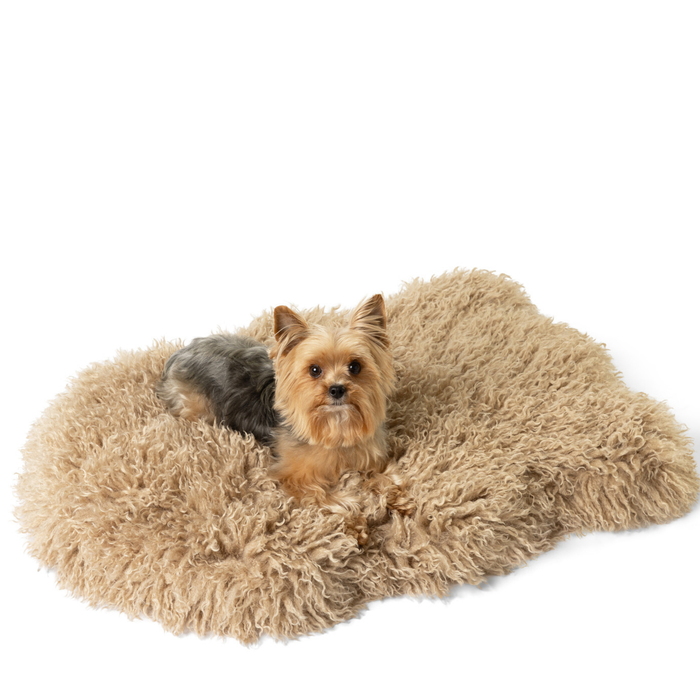 PupRug Luxe Faux Fur Orthopedic Dog Bed, Plush Sheep Tan, photo 5
