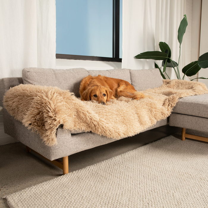 Piecera impermeable PupProtector Luxe, oveja afelpada canela, foto 8