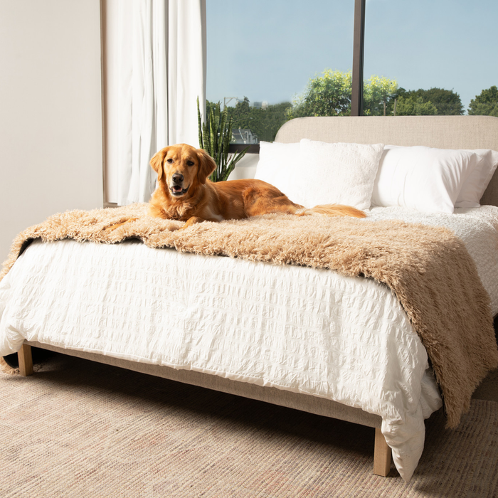 Piecera impermeable PupProtector Luxe, oveja afelpada canela, foto 7