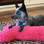 HuggleFleece, hueso de peluche rosa para perro, foto 5
