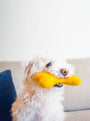 Juguete Woolbone para perro Classic, foto 6