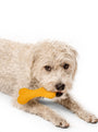Juguete Woolbone para perro Classic, foto 4