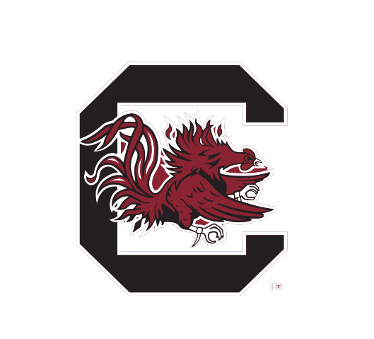 NCAA University of South Carolina, Cocky Knottie, juguete de peluche para perro, foto 4