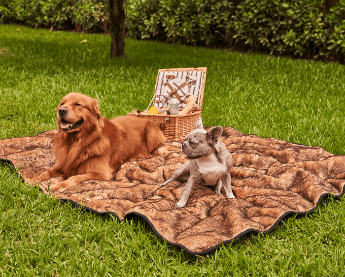 Manta impermeable PupProtector Summer de pelo corto, canela sable, foto 12