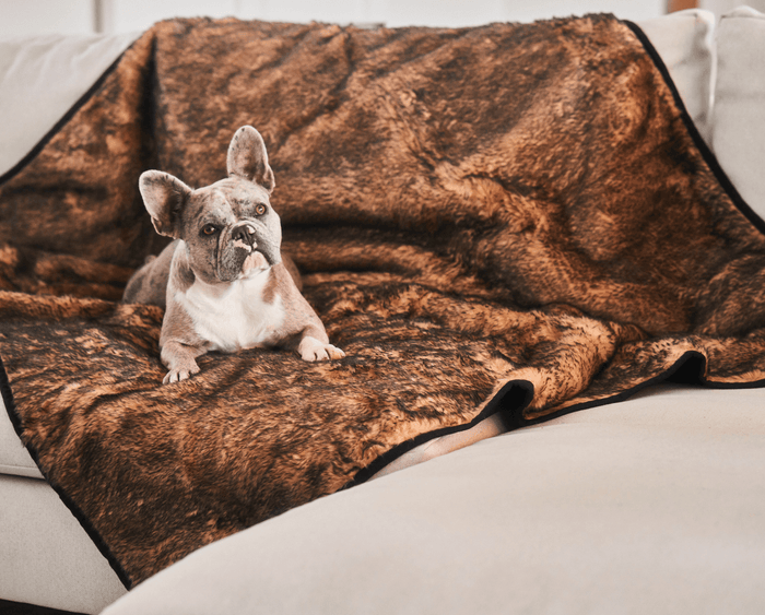 Manta impermeable PupProtector Summer de pelo corto, canela sable, foto 4