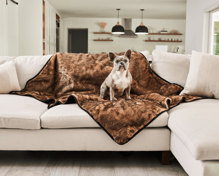 Manta impermeable PupProtector Summer de pelo corto, canela sable, foto 10