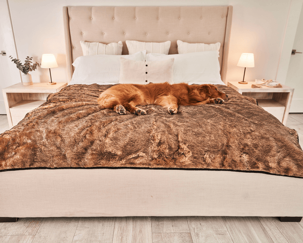 PupProtector Summer Short Fur Waterproof Throw Blanket, Sable Tan