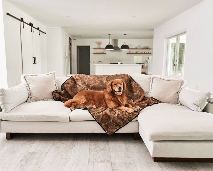 Manta impermeable PupProtector Summer de pelo corto, canela sable, foto 11
