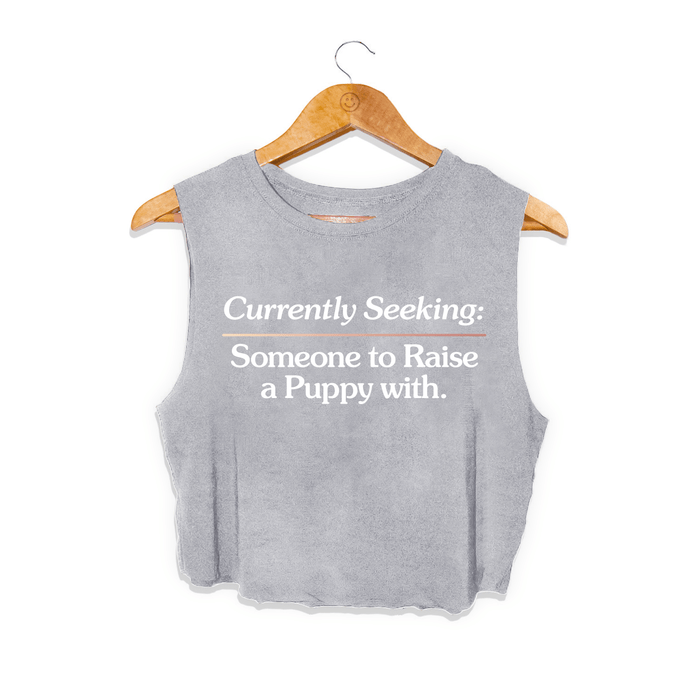 Currently Seeking Crop Top in light grey