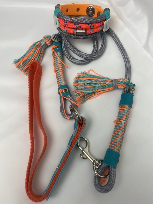Premium Handmade Dog Collar & Leash Set Tau Rope in Silver & Orange with Chrome Hardware & Turquoise Touches